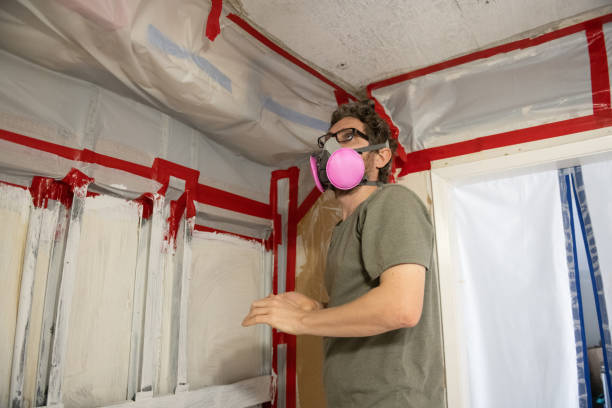 Professional Mold Inspection, Removal & Remediation in Sharpsburg, PA